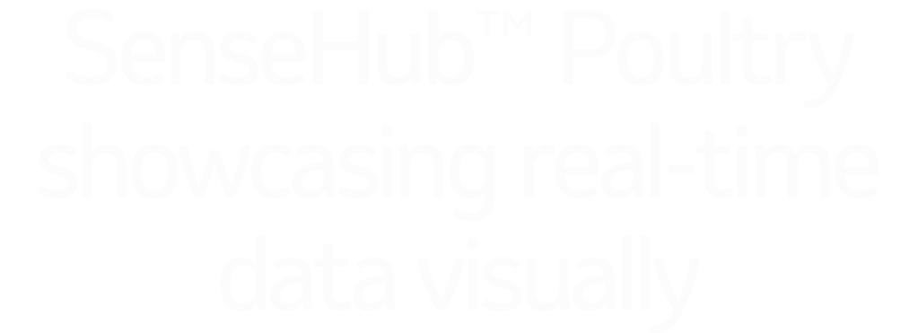 SenseHub™ Poultry showcasing real-time data visually SenseHub™ Poultry showcasing real-time data visually